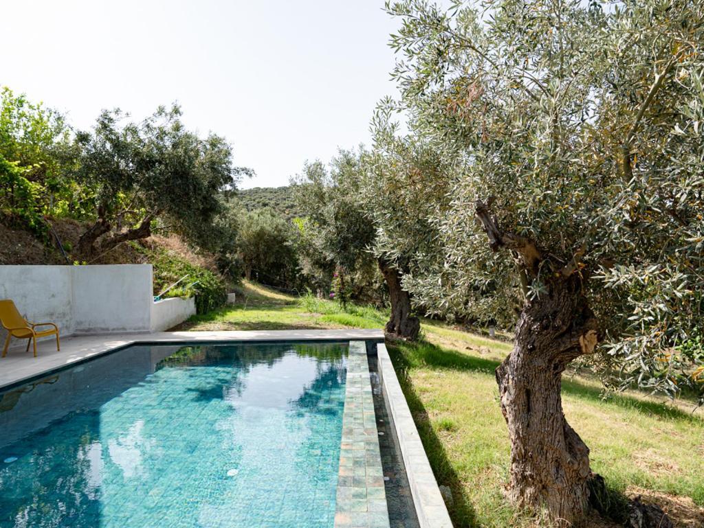 Dohos Skiathos Suites Ksanemos Exterior foto